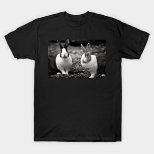 Bunny Buddies T-Shirt